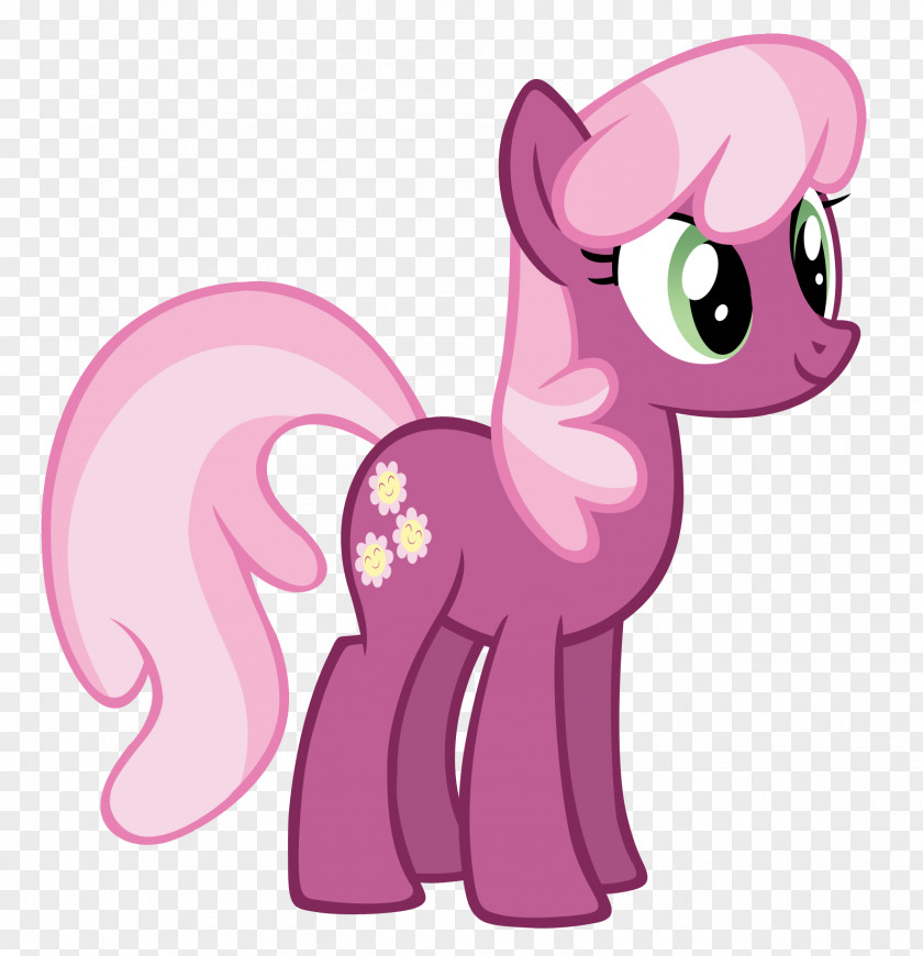 Little Pony Rarity Pinkie Pie Twilight Sparkle Cheerilee PNG