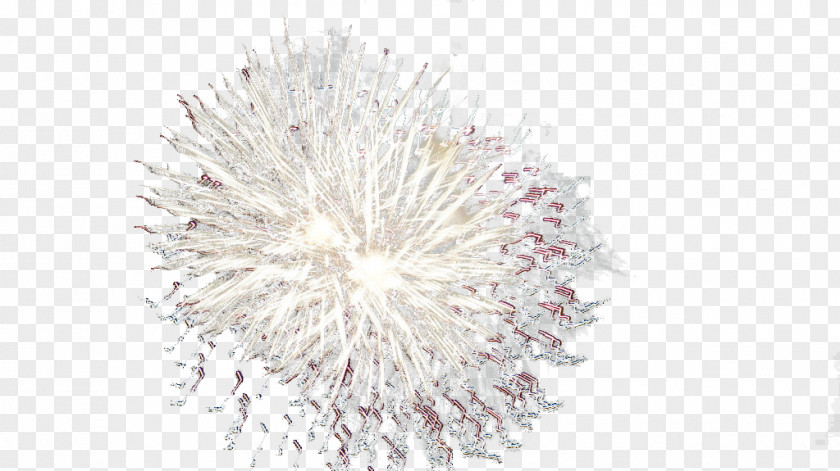 Silver Fireworks Adobe Computer File PNG