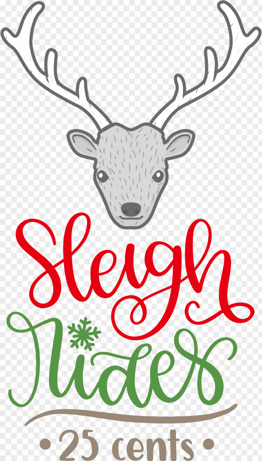 Sleigh Rides Deer Reindeer PNG