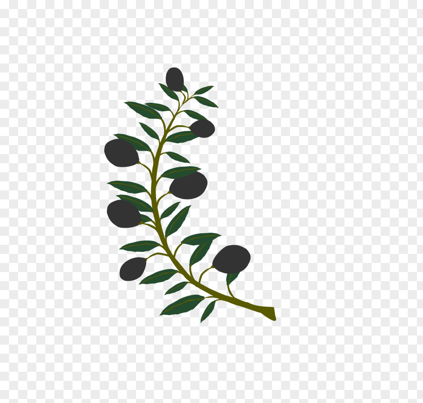 Watercolor Tree Olive Branch Clip Art PNG