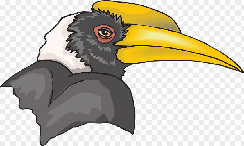 Bird Great Hornbill Clip Art PNG