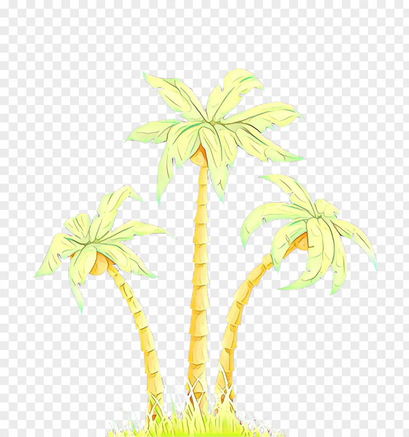 Date Palm Flower Tree PNG
