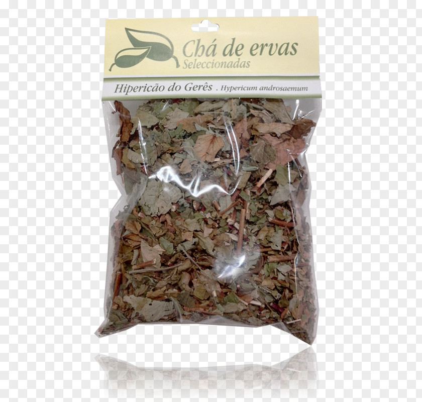 Illicium Verum Hōjicha Spice Herb PNG