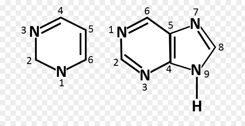 Molecule Catechin Chemical Formula Chemistry Skeletal PNG