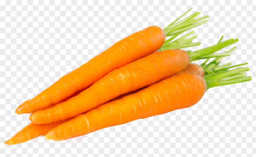 Carrot Soup Baby Food Vegetable PNG