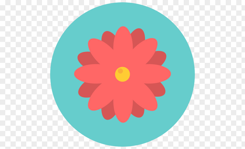 Flower Round Common Daisy PNG