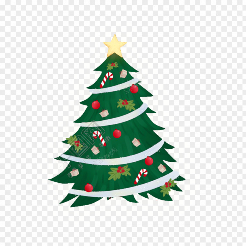 Ornament Holly Family Tree Design PNG