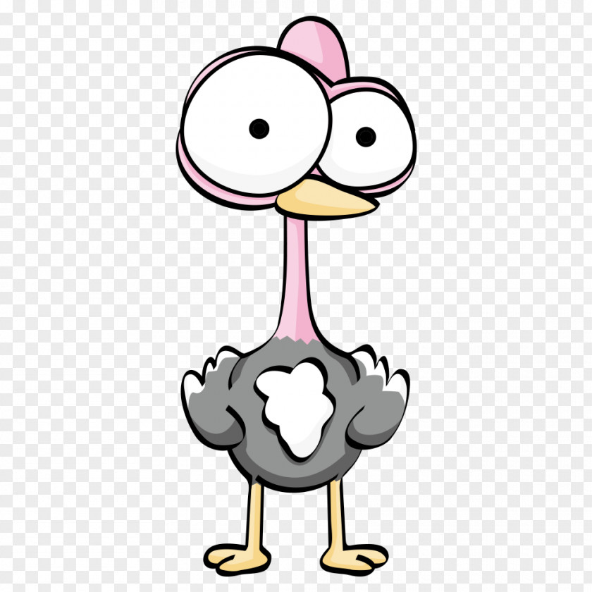 Ostrich Common Cartoon Drawing PNG