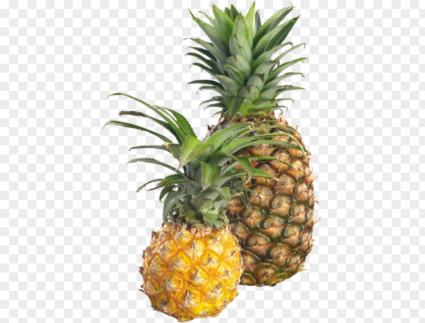 Pineapple Food Fruit Slice PNG