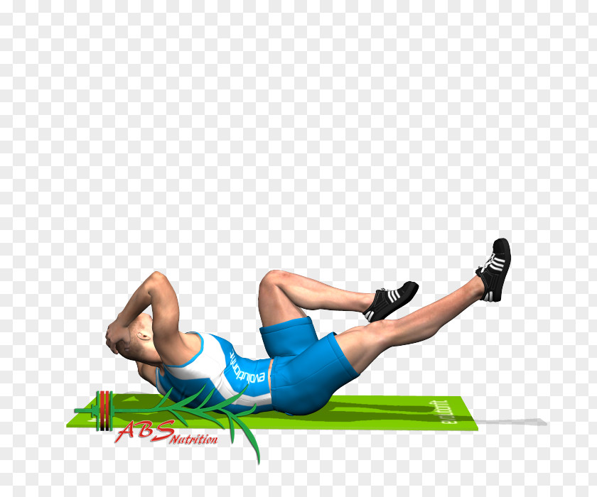 Crunch Shoulder Side-bend Hip Rectus Abdominis Muscle PNG