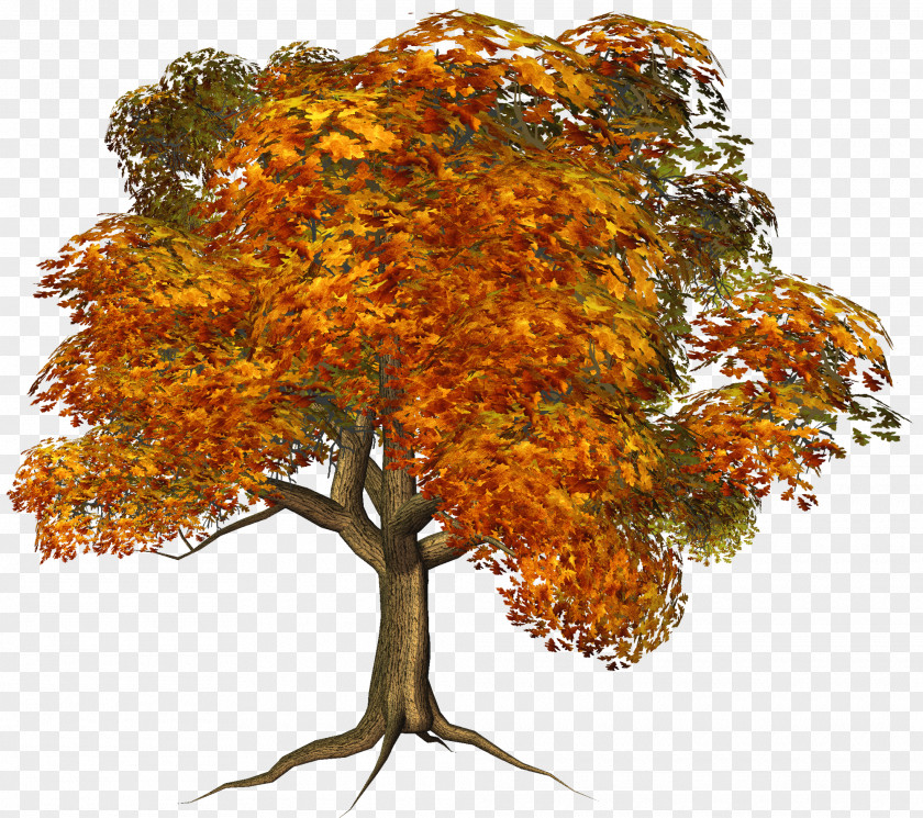 Fall Tree Clipartsr House Autumn Clip Art PNG