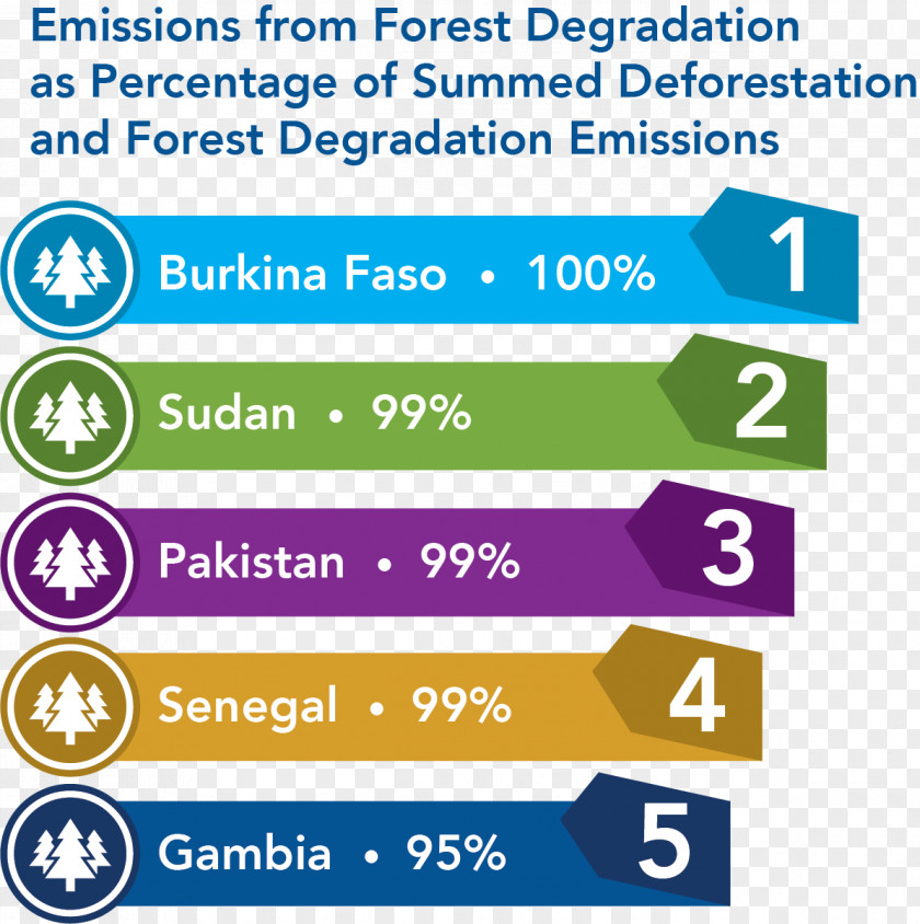 Important Greenhouse Gas Deforestation Pakistan Carbon Footprint Environmental Degradation PNG