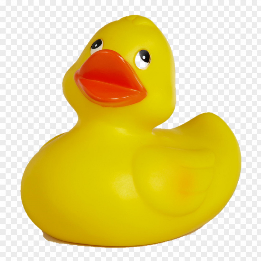 Rubber Duck Beak PNG