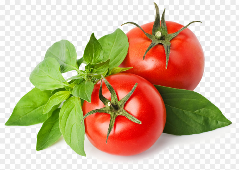 Tomato Soup Maltese Cuisine Juice Cream PNG