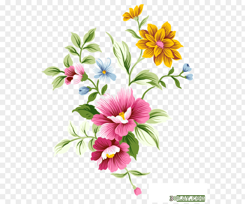 Flower Floral Illustrations Decorative Flowers Design Clip Art PNG