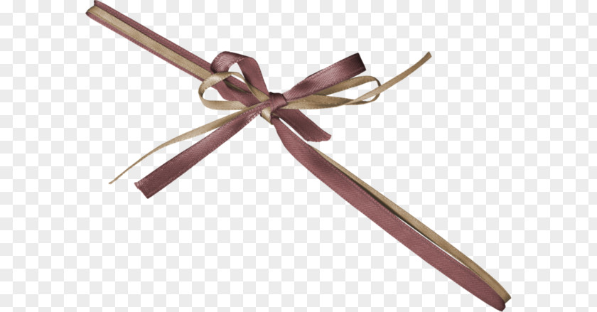 Gift Ribbon Bow PNG