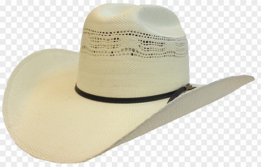 Hat Cowboy Straw Stetson PNG