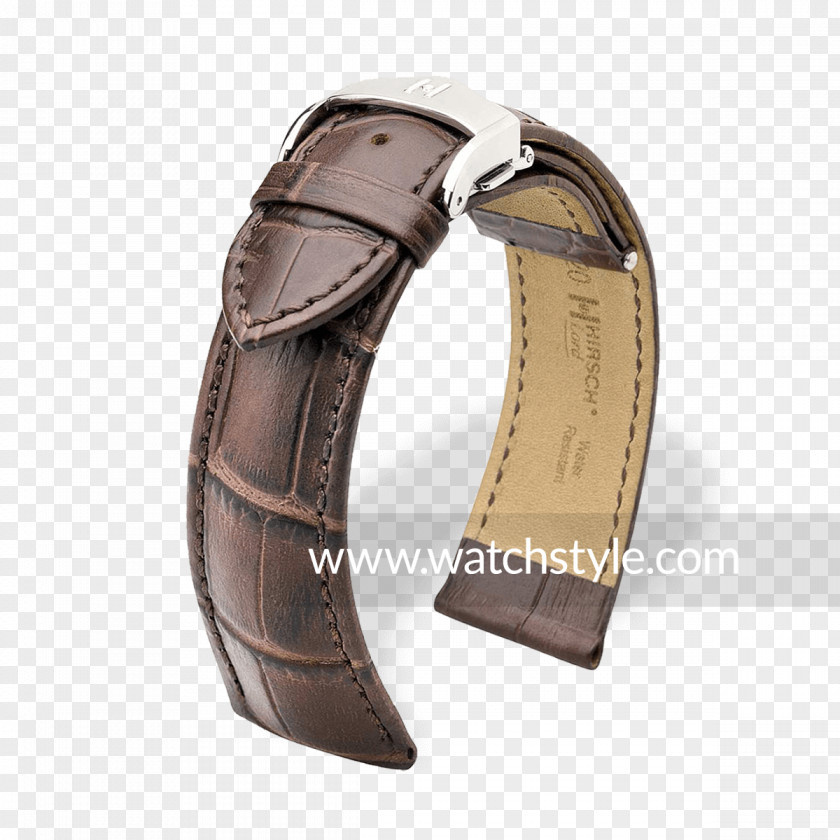 Jewellery Watch Strap Buckle PNG