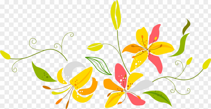 Magnolia Flower Pattern Material PNG