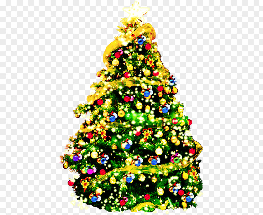 Multicolored Christmas Tree Card Wish Greeting Post Cards PNG