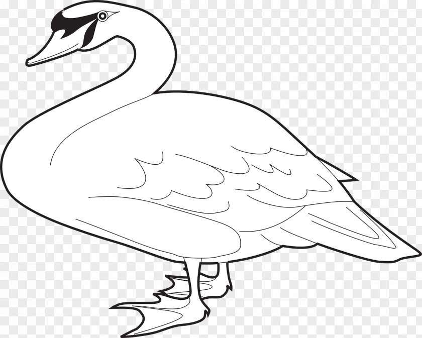 White Goose Domestic Cygnini Bird Clip Art PNG