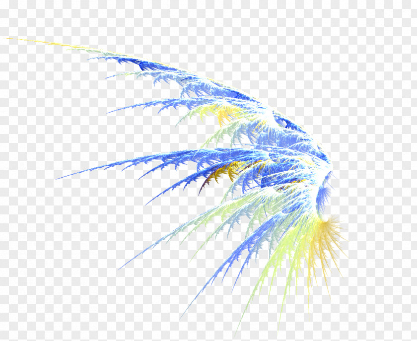 Wings Material Simple,Cool Fantasy Wing Feather Clip Art PNG