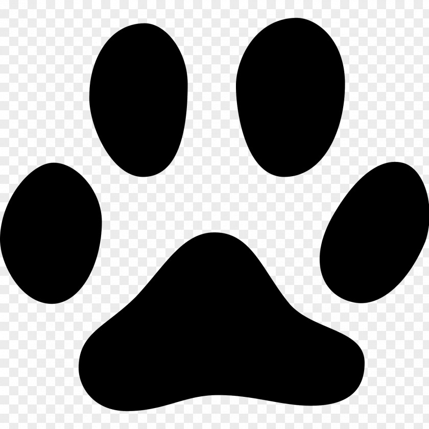 Bone Dog Cat Footprint Paw Animal Track PNG