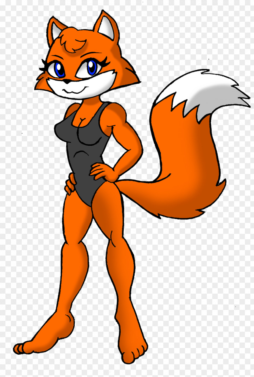Cat One-piece Swimsuit Red Fox Roxy PNG