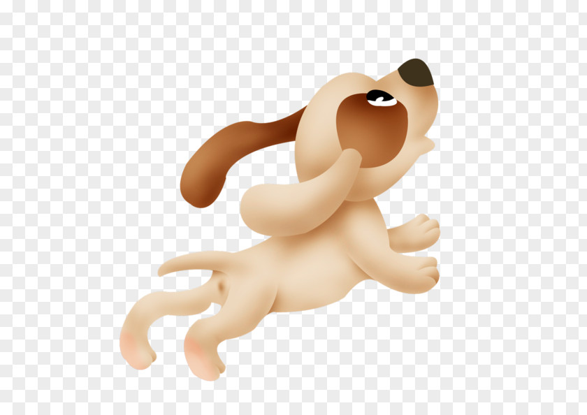 Catdog Color Photography Dog Clip Art PNG