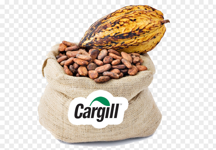 Chocolate Cocoa Bean Bar Criollo Solids PNG