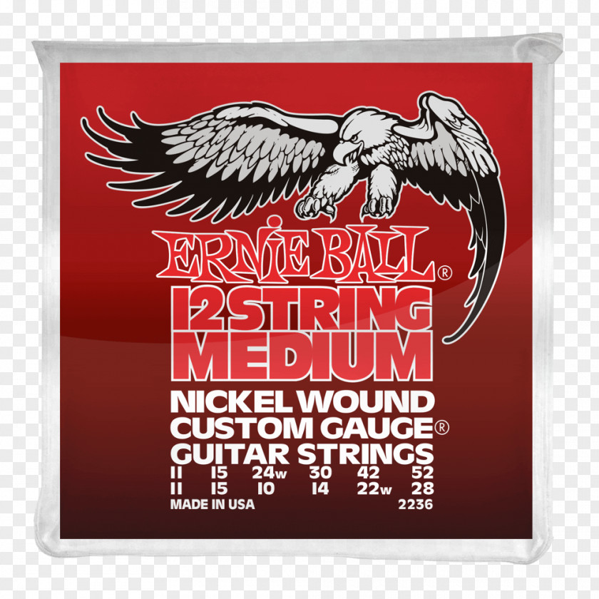 Electric Guitar Twelve-string Bass Musician PNG