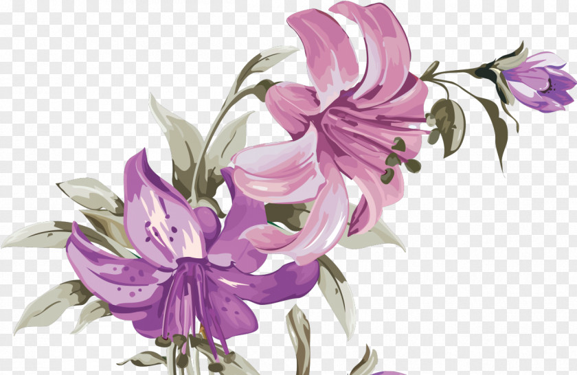 Flower Cut Flowers Lilium PNG