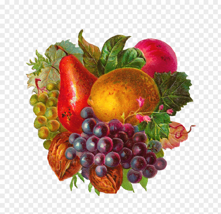 Fruit Vintage Clothing Apple Clip Art PNG