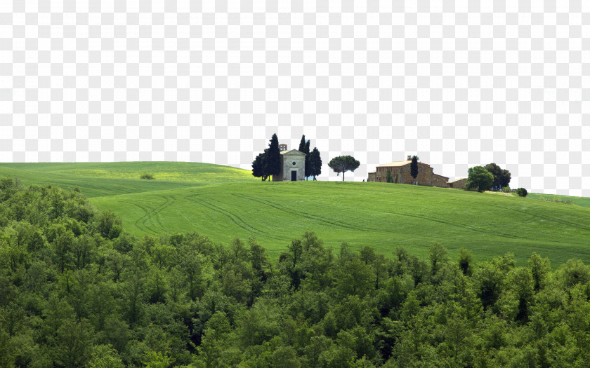 Italy Tuscany Grassland Pienza Siena Umbria Val DOrcia Wallpaper PNG