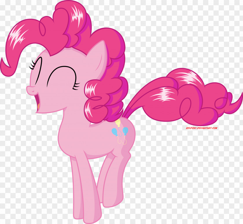 Mane Pony Pinkie Pie Fluttershy Rarity Rainbow Dash PNG