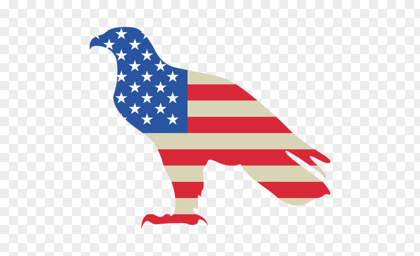 USA Flag Of The United States Liberia Canada PNG