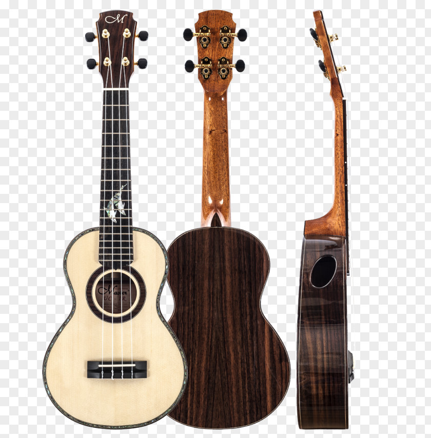 Acoustic Guitar Ukulele Bass Tiple Cavaquinho PNG