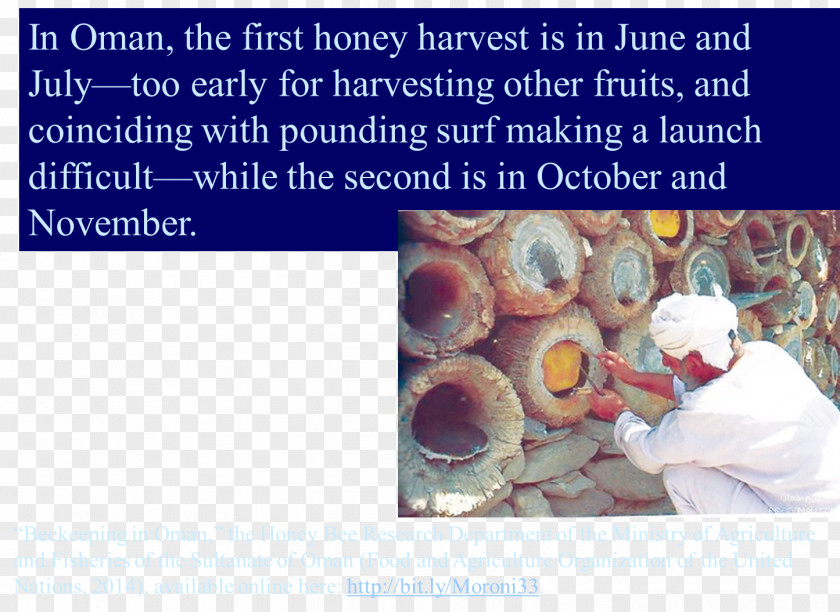 Bee Beekeeping Organism PNG