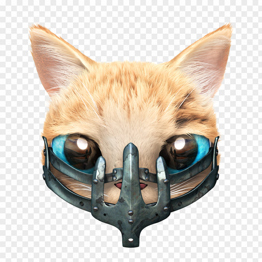 Cat Whiskers Imperator Furiosa Nux Kitten PNG