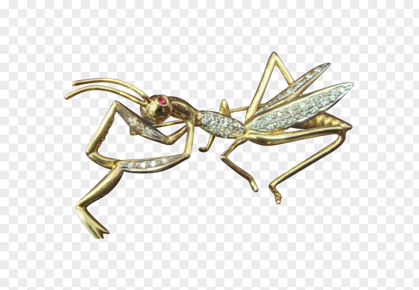 Insect 01504 Body Jewellery Brooch PNG