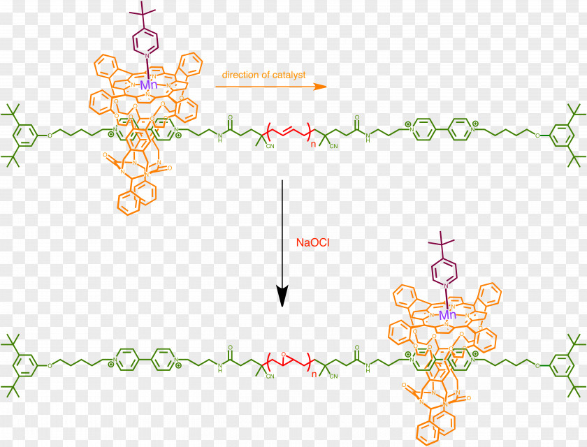Supramolecular Catalysis Chemistry Crabtree's Catalyst Rotaxane PNG