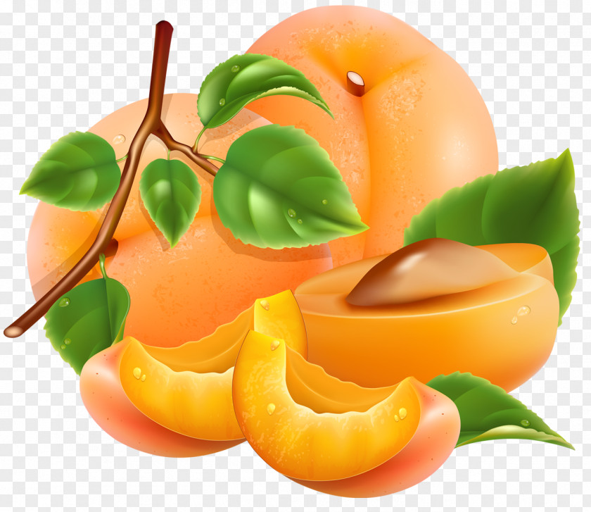 Apricot Juice Peach Fruit PNG