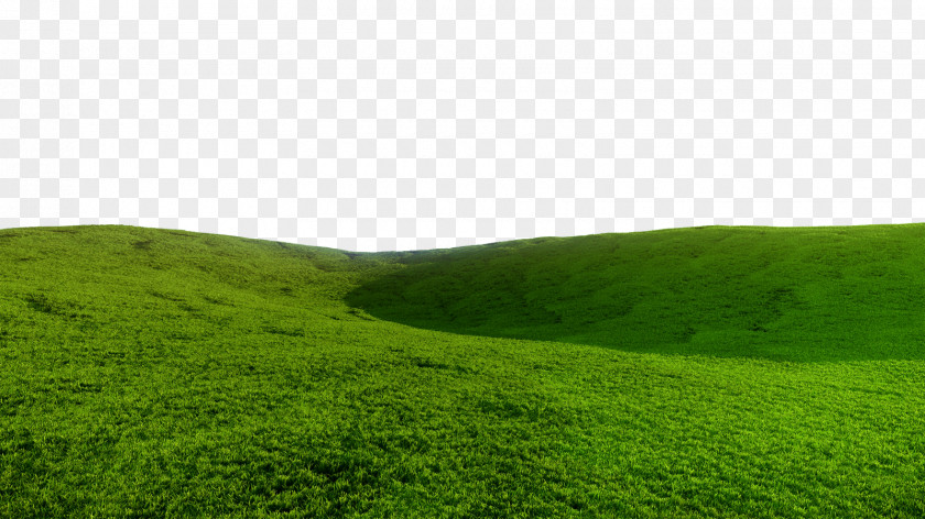 Field Pic Lawn Grassland Ecosystem Green Wallpaper PNG