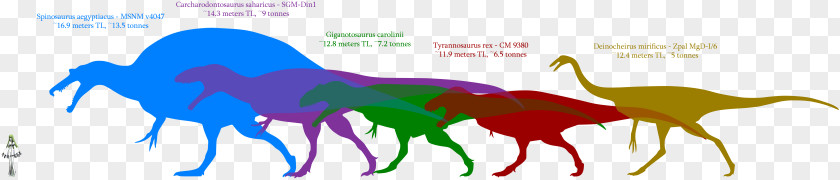 Horse Spinosaurus Dinosaur Most Awesomest Thing Ever Animal PNG