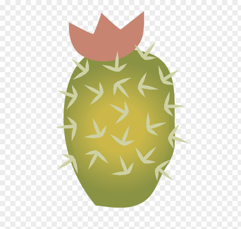 Prickly Pineapple Plant PNG