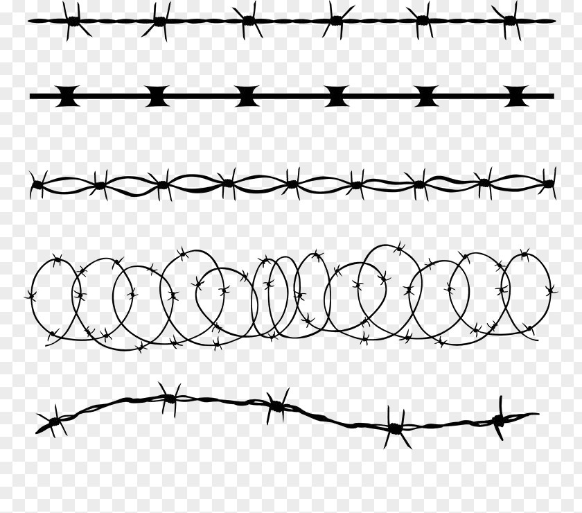 5 Wire Vector Material Barbed Concertina Illustration PNG