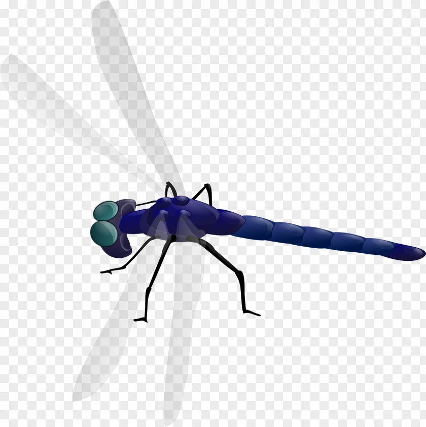 Blue Dragonfly Flight Drawing Clip Art PNG