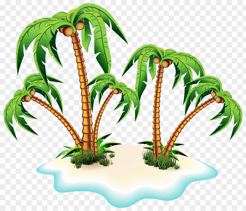Clip Art Transparency Vector Graphics Palm Trees PNG
