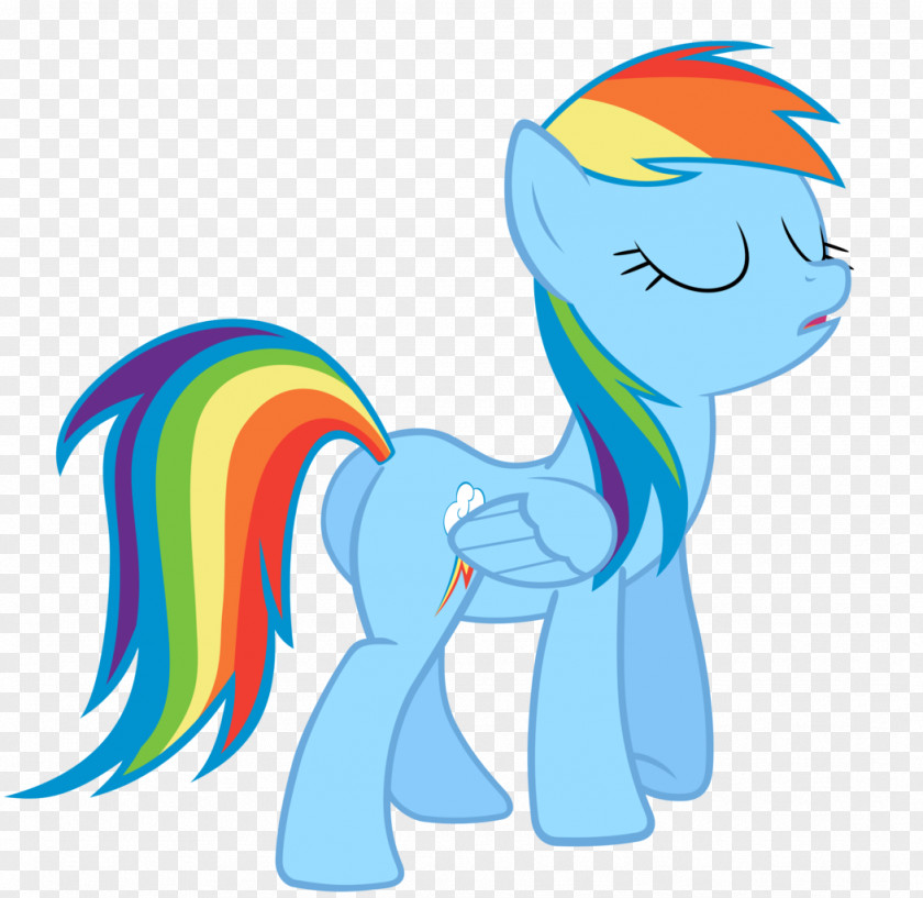 Dash Rainbow Twilight Sparkle Pinkie Pie Pony Applejack PNG