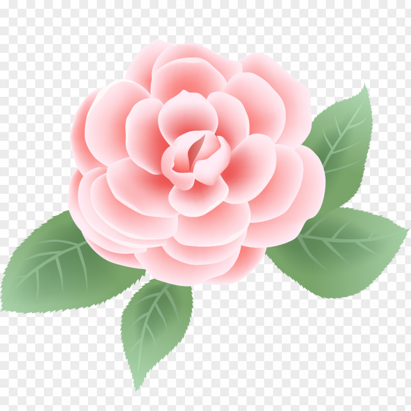 Pink Larkspur Flower Floral Design Rose Vector Graphics Clip Art PNG